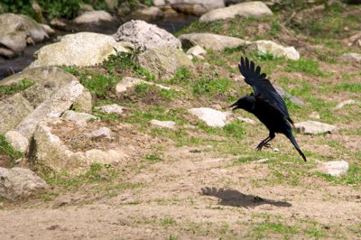 Ok, vous êtes numéro 1 pour atterrir_4575163811_l.jpg